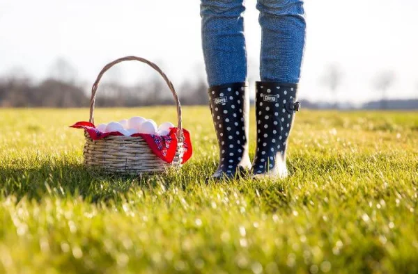 Afbeelding DuurzaamhEitje