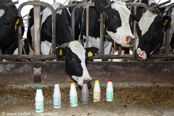 Afbeelding Hoogelandse Zuivelhoeve