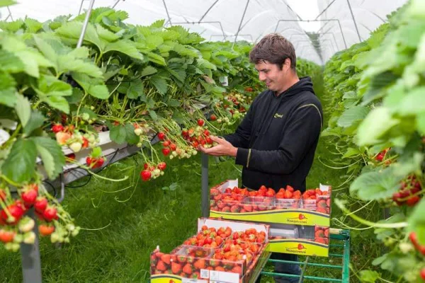 Afbeelding Kwekerij van Meer