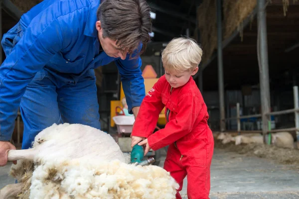 Afbeelding Kaasboerderij Mariekerke