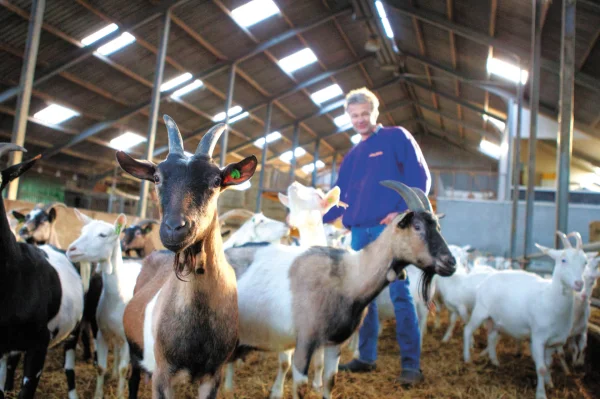 Afbeelding Utopia Hoeve