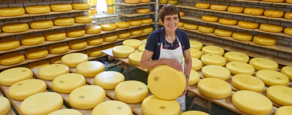 Afbeelding Kaasboerderij Noordhoek