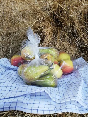 Afbeelding De winkel van Cynkel