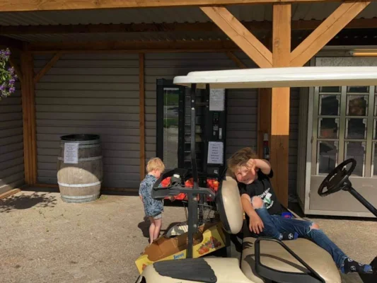 Afbeelding Bie Koopman