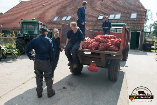 Afbeelding De Fochtel