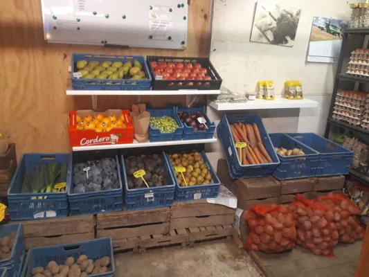 Afbeelding Boerderij de Jong