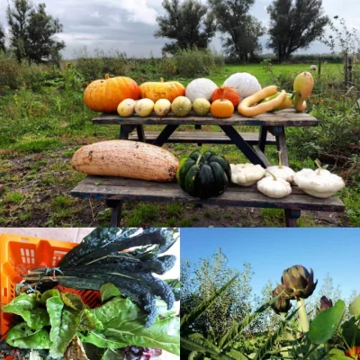 Afbeelding Tuin van de Toekomst