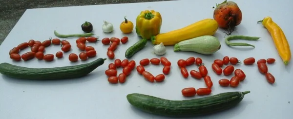 Afbeelding OostOogst