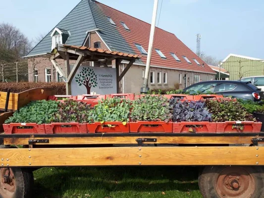 Afbeelding Natuurtuin ’t Hummelhûs