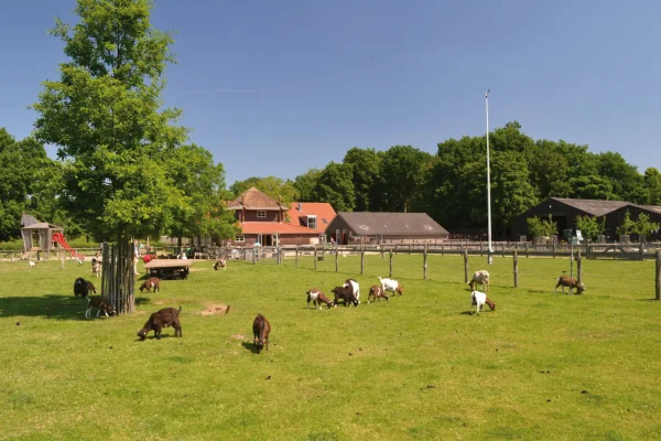Afbeelding Stadsboerderij Presikhaaf