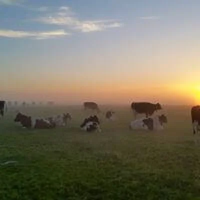 Afbeelding Biomelktap Jelsum