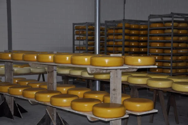 Afbeelding Kaasboerderij Schrama Amstelveen