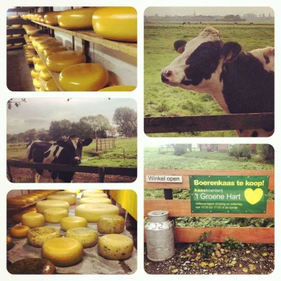 Afbeelding Kaasboerderij 't Groene Hart