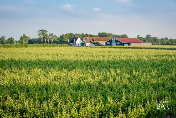 Afbeelding Wijnhoeve De Kleine Schorre