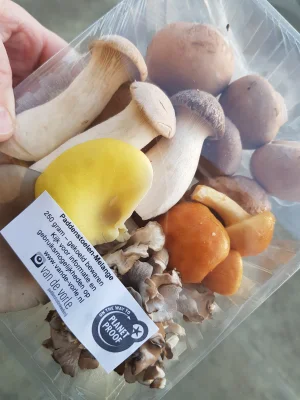 Afbeelding Paddenstoelenkwekerij Van de Vorle