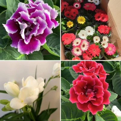 Afbeelding JHL GROUP