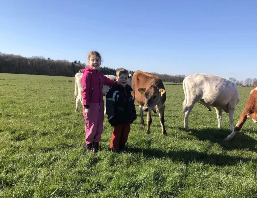 Afbeelding BioBoerBrinks