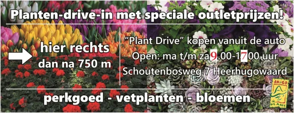 Afbeelding Plant Drive by Amigo Plant