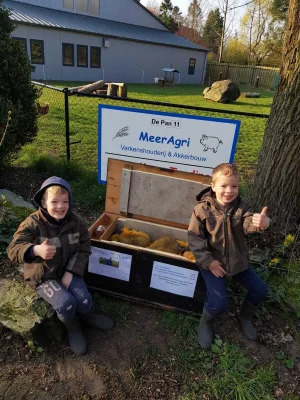 Afbeelding Gebroeders Van Meer aardappelen en uien