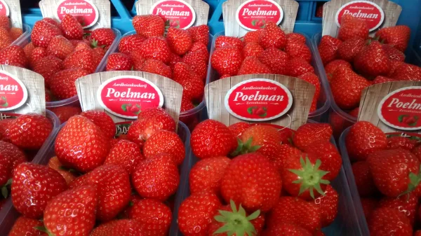 Afbeelding Aardbeien en asperge boerderij Poelman