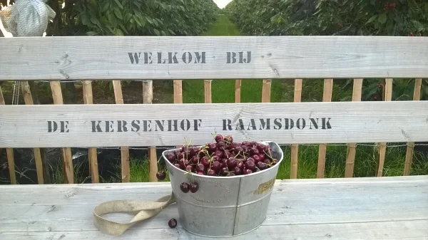 Afbeelding De Kersenhof Raamsdonk