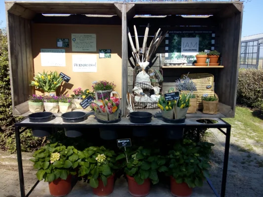 Afbeelding IAMVANLEEUWEN