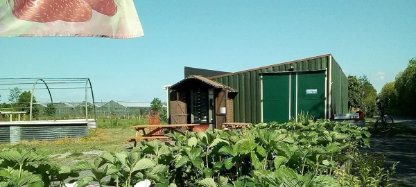 Afbeelding Mts. van Gaalen-Doppenberg