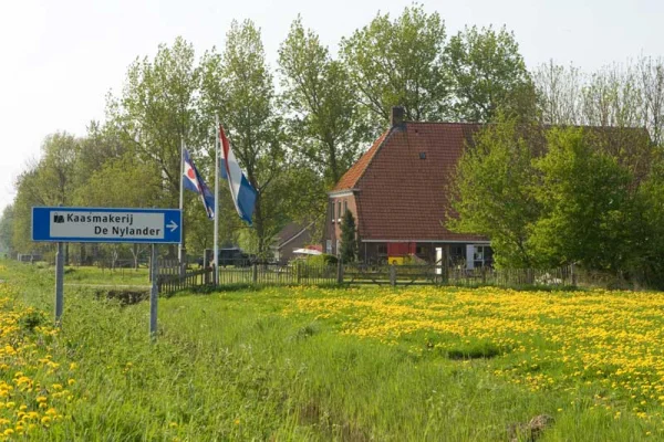 Afbeelding De Nylander