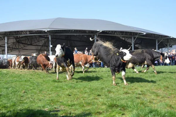 Afbeelding Bio-boerderij Landleven