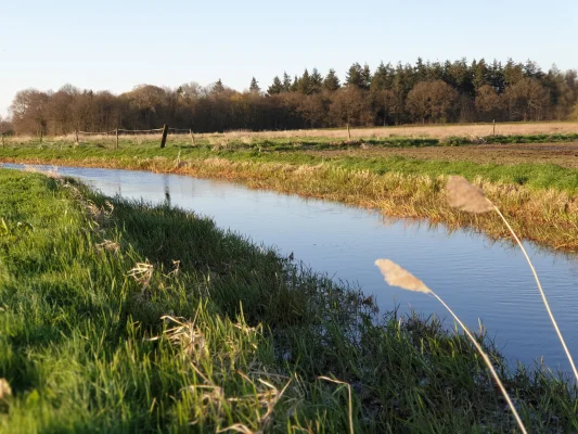 Afbeelding Twinckeltje