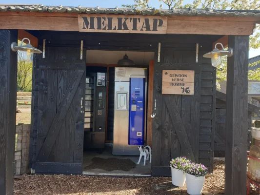 Afbeelding Melktap Gewoon verse Romme