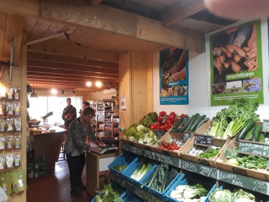 Afbeelding De Zonnehorst