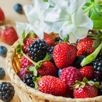 Afbeelding Fokkers Farm