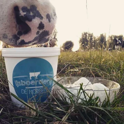 Afbeelding Ijsboerderij De Morgen