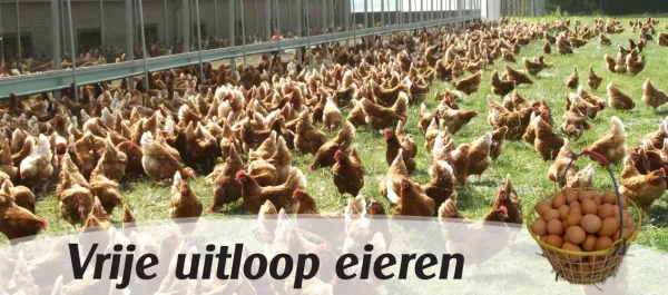 Afbeelding Boerderijwinkel Manders