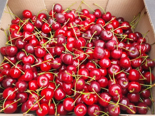 Afbeelding De vers kar