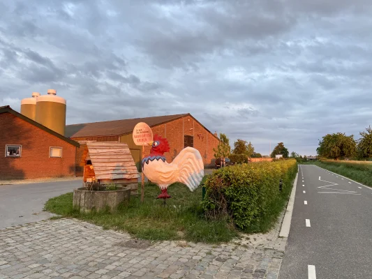 Afbeelding MergellandEi