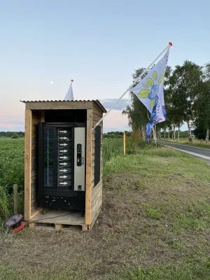 Afbeelding Blauwe Bessenpluktuin Elim