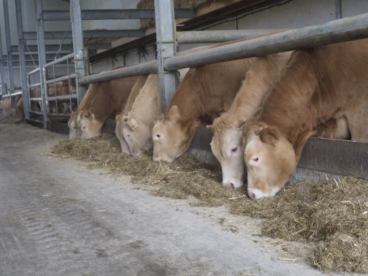 Afbeelding Eet van de boer.nl | HOOGENRAAD veehouderij vof