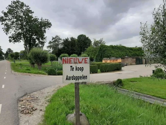 Afbeelding Zonneveld