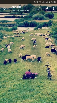 Afbeelding Kaaskar Doolgelukkig