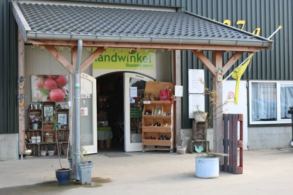 Afbeelding Landwinkel Bloeiend Merm