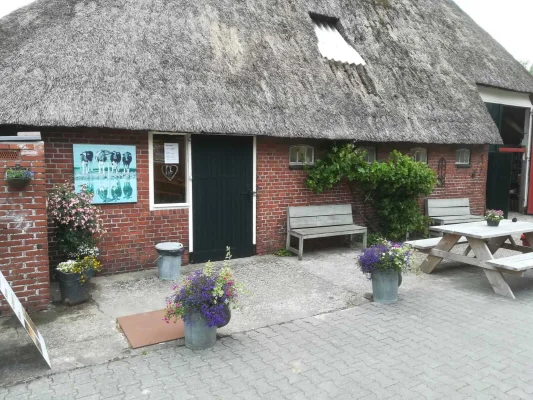 Afbeelding Lyts Buthus