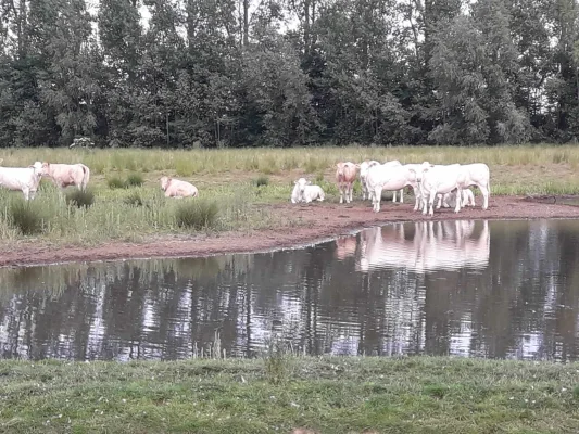 Afbeelding Vlees-boerderij Dieker
