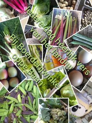 Afbeelding Boerderijwinkel oppe Baan