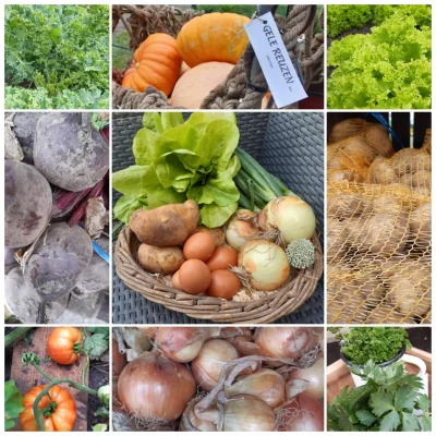 Afbeelding Het Stalletje onder aan de Dijk