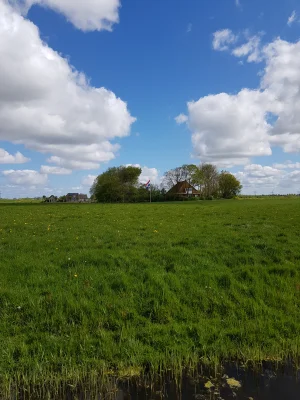 Afbeelding Wynia Lamsvlees