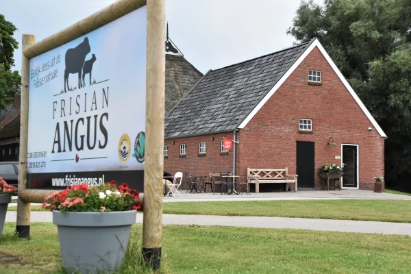 Afbeelding Frisian Angus