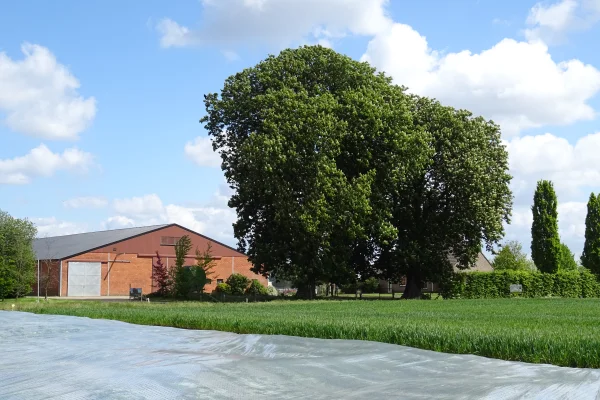 Afbeelding Maatschap Vael - de Keijzer