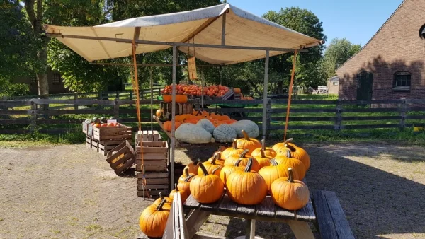 Afbeelding Fruitstalletje Landlustweg